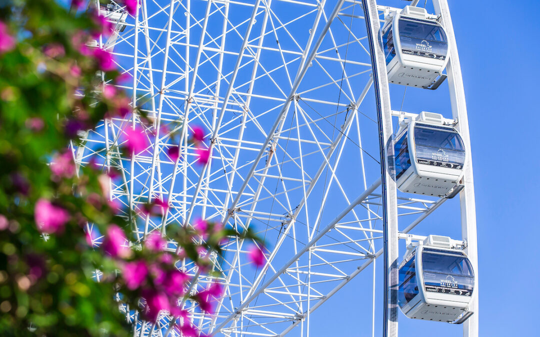 The Wheel of Brisbane